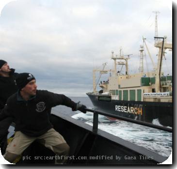 Re: Sea Shepherd Conservation society