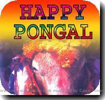 Re: pongal greetings 2010