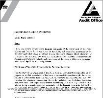 audit report