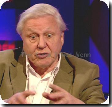 Sir Richard Attenborough is a guest on 'Friday Night With Jonathan Ross'.  Shown on BBC1.

England