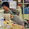 Kris Jenner shopping at a baby store in West Hollywood with her daughter whilst filming their reality show 'Keeping Up with the Kardashians' Los Angeles.