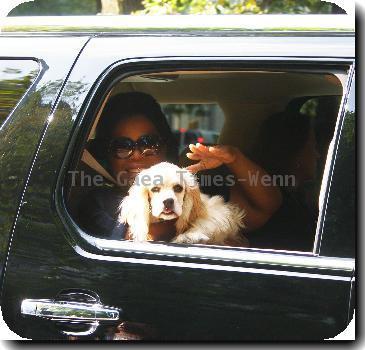 **Exclusive**
Oprah Winfrey waves to a photographer while passing through Fifth Avenue in her car with her cocker spaniel Sadie - she is in the Big Apple to tape her show live from Central Park's SummerStage.
New York City, USA - 18.09.09
Mandatory/IANS-WENN