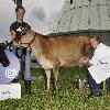 Jeff McInnis 
from the television series 'Top Chef Season 5' participates in Dairy Day at the Miami Children's Museum.