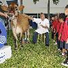 Jeff McInnis 
from the television series 'Top Chef Season 5' participates in Dairy Day at the Miami Children's Museum.