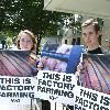 Peta protest outside the Swine Flu Conference at the Hyatt Regency
Washington DC, USA - 19.08.09
Mandatory Credit : Carrie Devorah /IANS- WENN