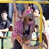 Denise Richards takes her daughters to a park in MalibuCalifornia.