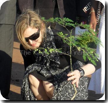 MADONNA PLANTS TREE TO LAUNCH MALAWI SCHOOL PROJECT