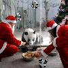 IT'S PANDA CLAUS!
 Christmas has come early for this rare panda ' as workers at a zoo dress up as Santa to feed him.
Staff got in the festive spirit to dish up a yuletide feast of fruit, bamboo, and corn bread in Mo-Mo's pen at the reserve in Jinan, China.
(ZN/WN)
China