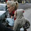 Gwen Stefani and Gavin Rossdale
 take their son, Zuma Nesta Rock, for a walk on Hampstead Heath.
London, England - 26.12.09
Credit: IANS- WENN