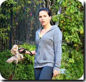 Sophia Bush 
spotted walking her one-eyed dog near her home..