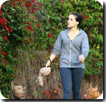 Sophia Bush 
spotted walking her one-eyed dog near her home..