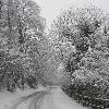 Heavy Snow fell in a suburb of Doncaster, England on January 5, 2010. England is experiencing its worst winter for almost 15 years.Weather forecasters have predicted that most of the UKwill be covered in a heavy blanket of snow overnight Doncaster.