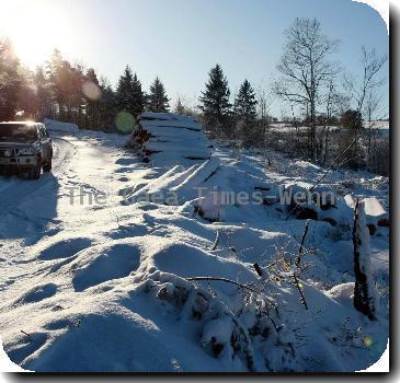 Snow scene from Roundwood