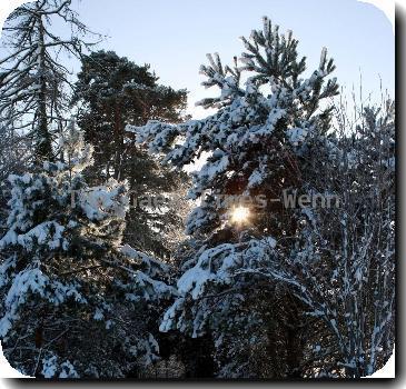 Snow scene from Roundwood