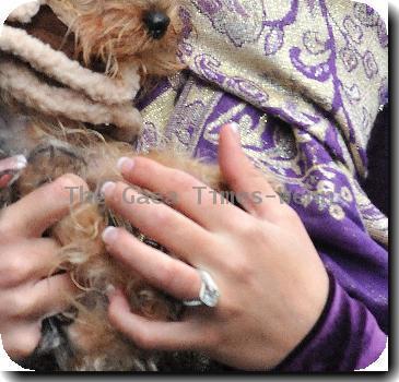 Danielle Lloyd showing off her engagement ring while out with her dog, ahead of her lavish engagement party at the weekend where she will be wearing '26,000 crystal encrusted gown from New Bond Street boutique Doly. London.