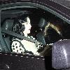 Dita Von Teese arriving in a car for the 3rd Annual Art of Elysium Gala Los Angeles.