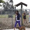 Janice Dickinson takes her pet dogs for a walk in the park
Los Angeles, USA.