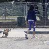 Janice Dickinson takes her pet dogs for a walk in the park
Los Angeles, USA.