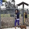 Janice Dickinson takes her pet dogs for a walk in the park
Los Angeles, USA.