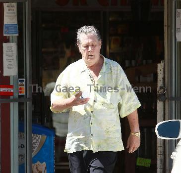 Beach Boys legend Brian Wilson saunters back to his car after buying a bottle of water at a roadside market. 
Los Angeles, California.