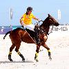 Polo players Brandon Phillips, John gobin and Lance Vetterparticipate in the 2010 AMG South Beach Men Polo World Cup behind The Setai HotelMiami.