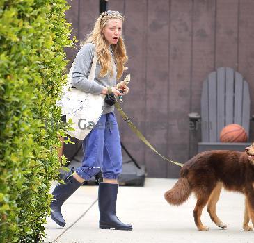 'Letters to Juliet' star Amanda Seyfried, wearing no makeup, leaves her West Hollywood gym with her dogLos Angeles.