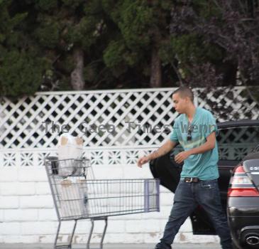 Evan Ross was spotted loading groceries into his black Mercedes-Benz after shopping at Bristol Farm
Los Angeles, USA.