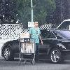 Evan Ross was spotted loading groceries into his black Mercedes-Benz after shopping at Bristol Farm
Los Angeles, USA.