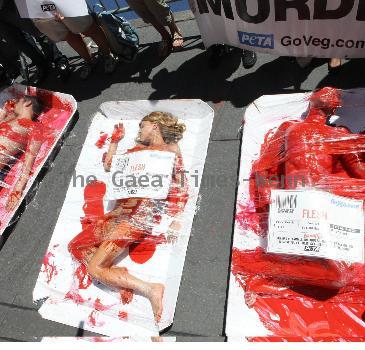 PETA Members show Manhattan that 'we're all made of flesh' at their latest demonstration 'Naked and Wrapped in Cellophane' held at the Times Square intersection, 45th and Broadway New York City.