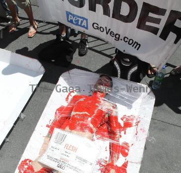 PETA Members show Manhattan that 'we're all made of flesh' at their latest demonstration 'Naked and Wrapped in Cellophane' held at the Times Square intersection, 45th and Broadway New York City.