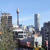 The 'City To Surf' public marathon, a 14 kilometre run between the Sydney CBD and the shores of Bondi Beach. Now in its 40th year, it is the world's largest public marathon, attracting upwards of 80,000 runners. Sydney.