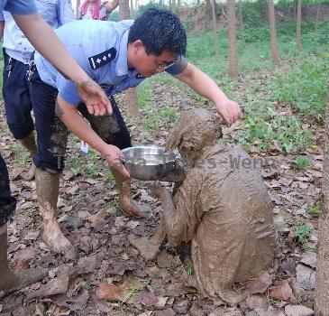 Woman saved from mud pit