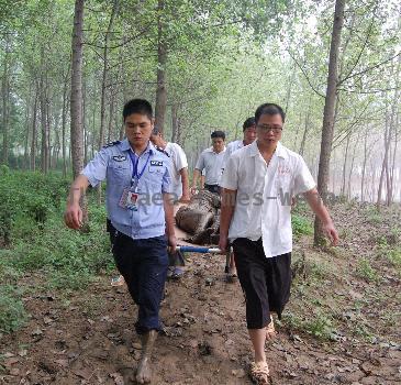Woman saved from mud pit Woman saved from mud pit