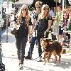 Amanda Seyfried out and about walking her dog with a friend in Glendale.
Los Angeles, California.