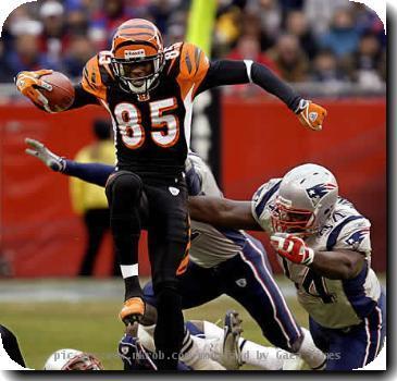 Cincinnati Bengals