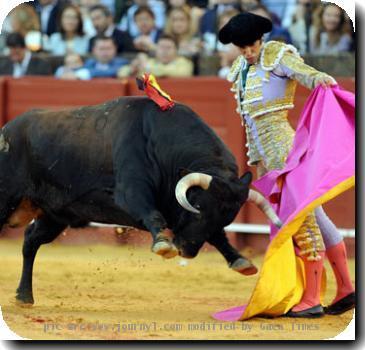 bullfighting