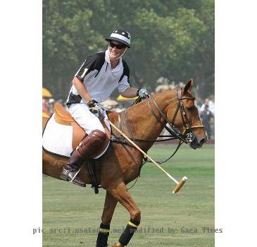 prince harry polo