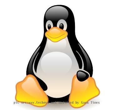 Linux