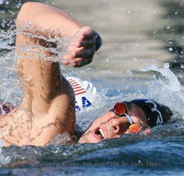 Fran Crippen