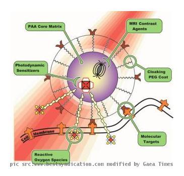 Cancer cells