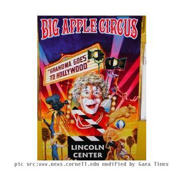 Circus