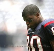 andre johnson fight