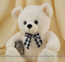 Teddy Day