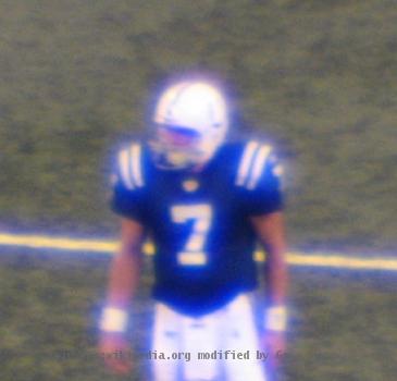 Curtis Painter in action for the Indianapolis Colts during the 2009 preseason (week 2, vs. Philadelphia Eagles).