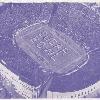 The "Sugar Bowl" Tulane Stadium, New Orleans; 1940s air view.