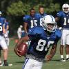 I took this picture of Marvin Harrison during the 2007 Colts training camp at Rose Hulman Institute of Technology in Terre Haute, IN