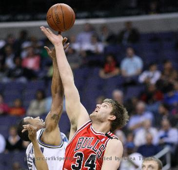 wAaron Gray playing with the wChicago Bulls