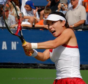 Chinese female tennis player, Zheng Jie at 2008 US Open