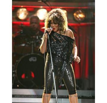 A shot taken from a fan of the amazing TINA TURNER performing live from Amway Arena in Orlando.