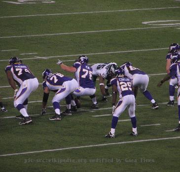 Chester Taylor in 2009 NFC Wild Card Game